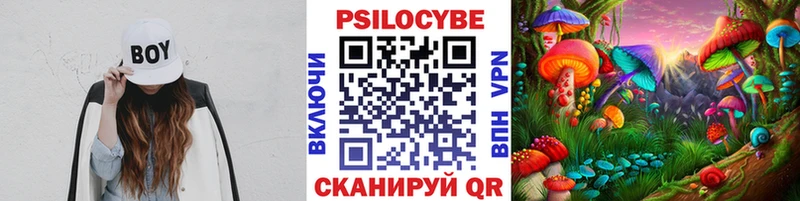 Галлюциногенные грибы ЛСД Купить закладки Углегорск